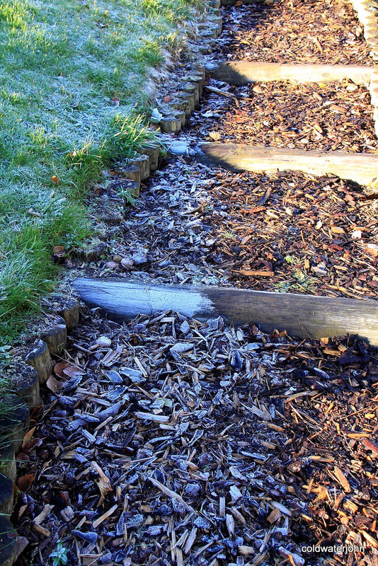 Cold and frosty morning 5178566606 o