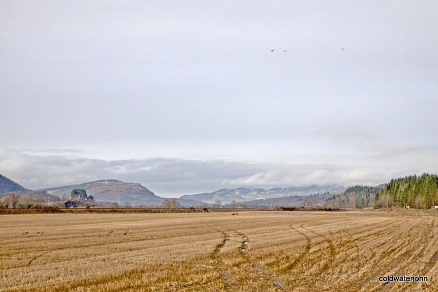 Views from the A9 - Pitlochry to Aviemore road