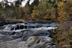 Autumn in Glen Affric - HDR