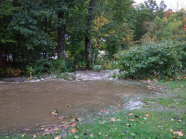 New Haven River - Oct.1, 2010 #3