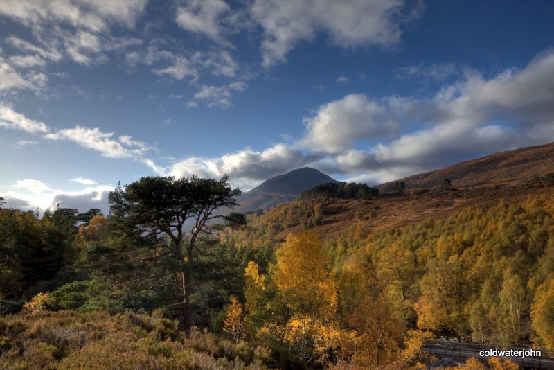 Autumn in Glen Affric - HDR