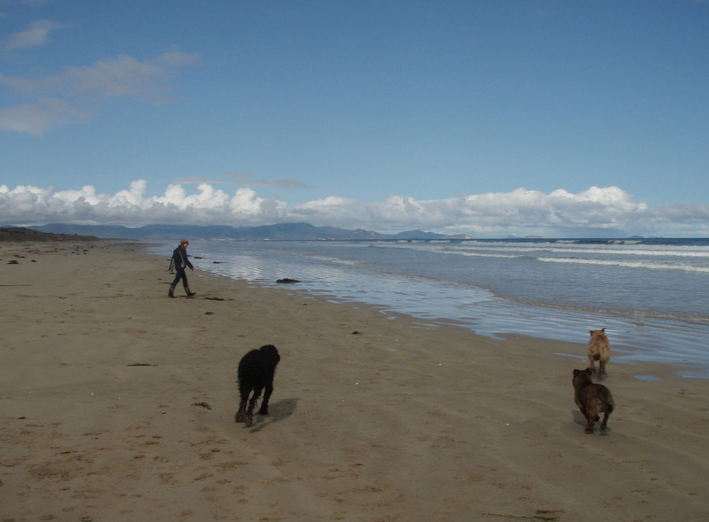 doggy fun at Sandy Point