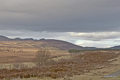 Views from the A9 - Pitlochry to Aviemore road 5424546617 o