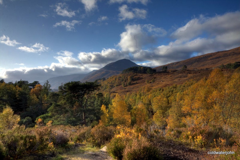 Autumn in Glen Affric - HDR