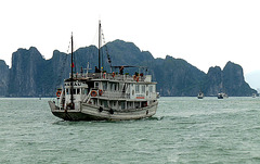 Another Tourist Boat