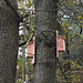 New nestboxes