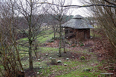 Do snowdrops mean that Spring has sprung?