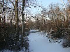snow 023