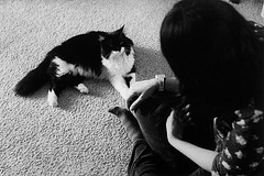 conversation