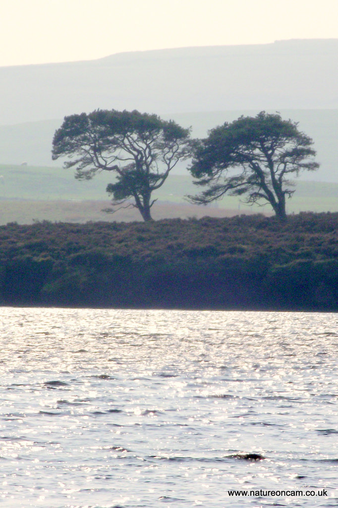 Views from bird hide