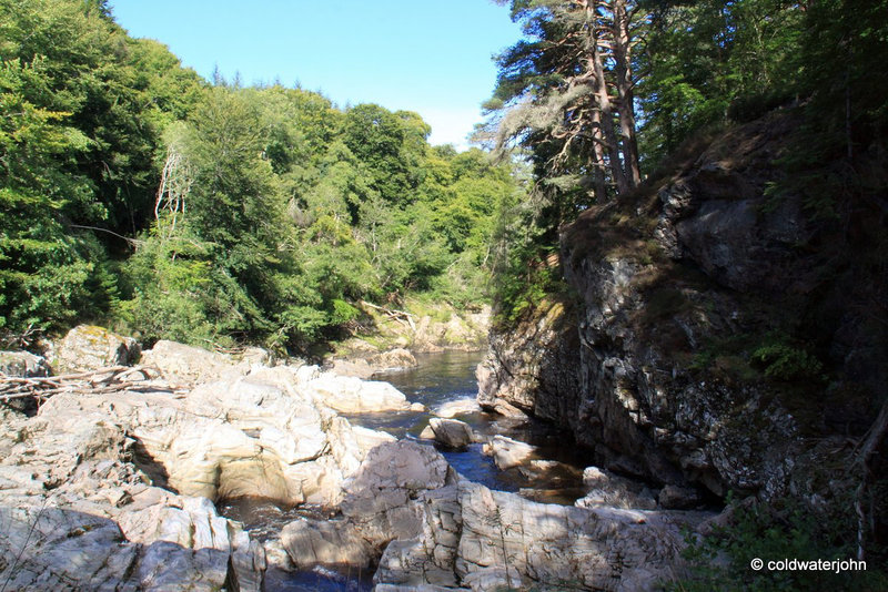 Excursion to the River Bank...