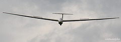 Gliding at Easterton