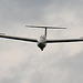 Gliding at Easterton