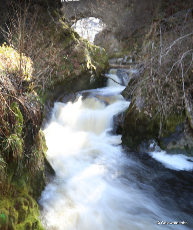 The Dorback Burn near Dunphail