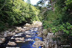 Excursion to the River Bank...