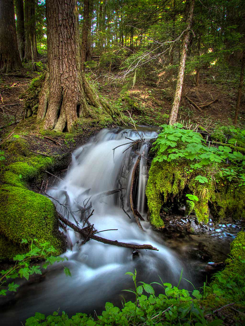 Waterfall with Moss