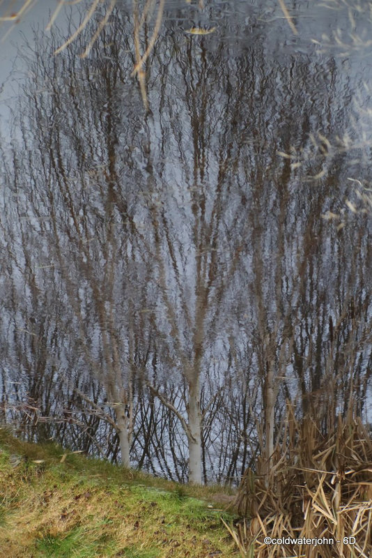 Water as Mirror Series