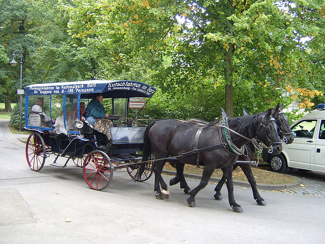 Leisurely Transport in Goslar