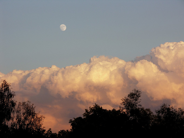 Bank of Cloud