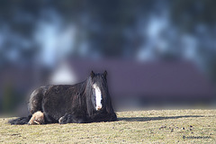 Sunbathing on a winter afternoon