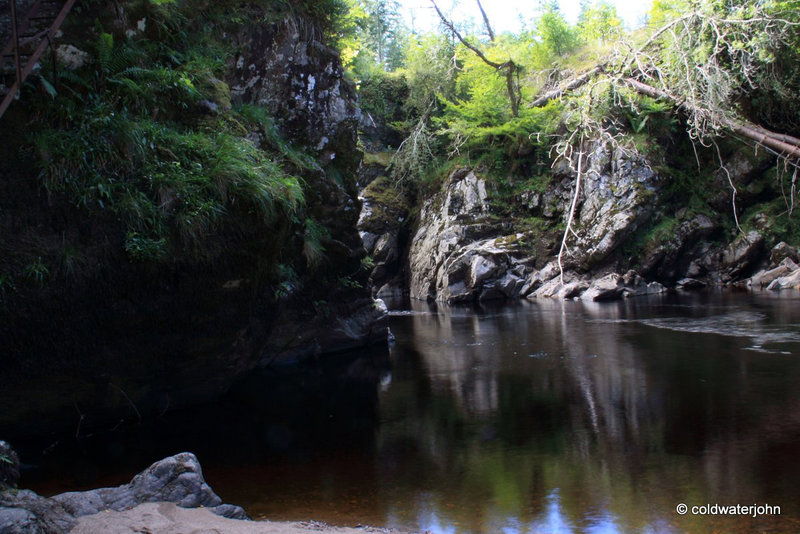 Excursion to the River Bank...