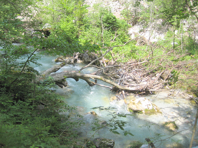 Tscheppaschlucht