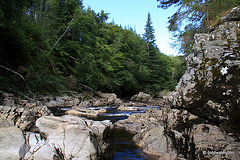 Excursion to the River Bank...