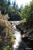 Excursion to the River Bank...