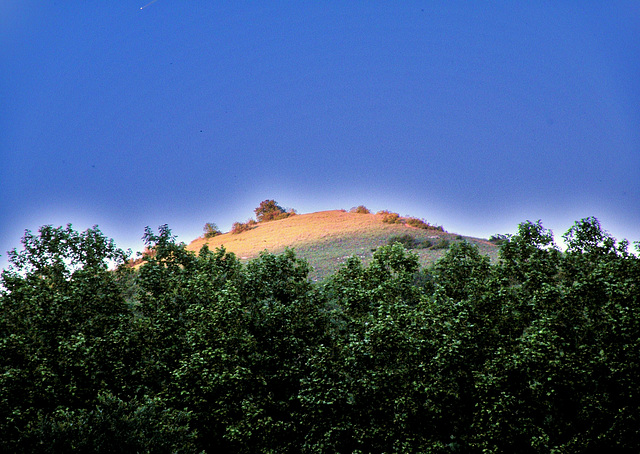 "Une nuit sur le Mont Chauve"