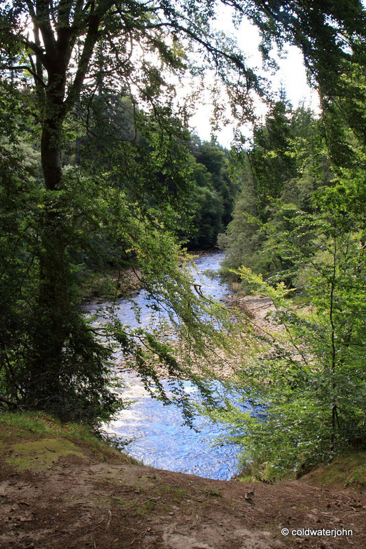 Excursion to the River Bank...