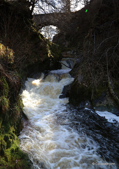 The Dorback Burn near Dunphail