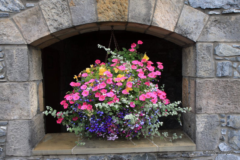 Flower basket at Glenfiddich distillery