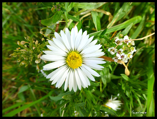 le printemps est là!