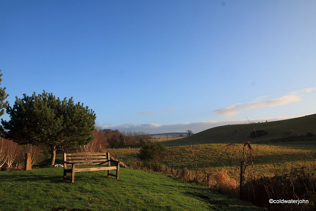 A Place in the Winter Sun