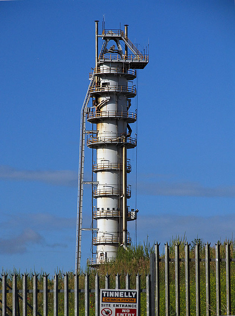 Carlow Sugar