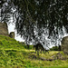 launceston castle, cornwall