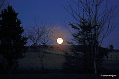 Full Moon Rising into a cloudless evening sky