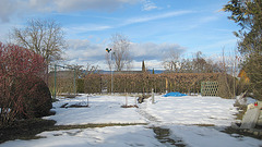 Blick über den Garten