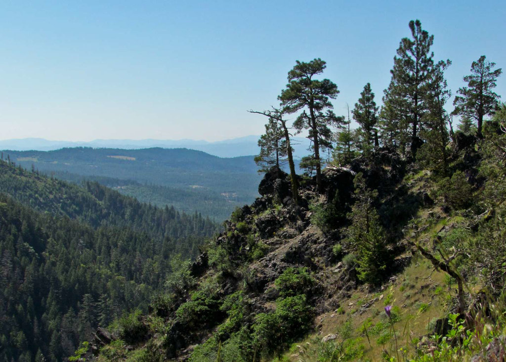 Vista Along the Lost Falls Trail