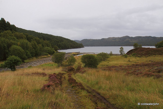 Glen Affric #14