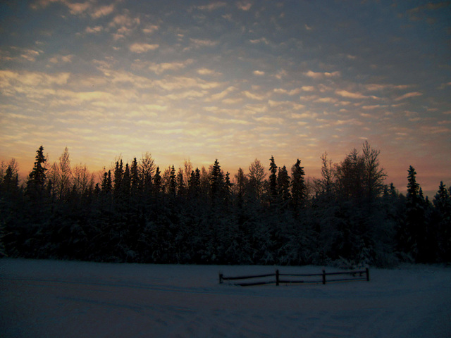 The sun rose at 10:58 this morning