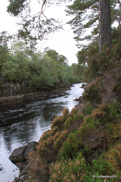 Glen Affric #13