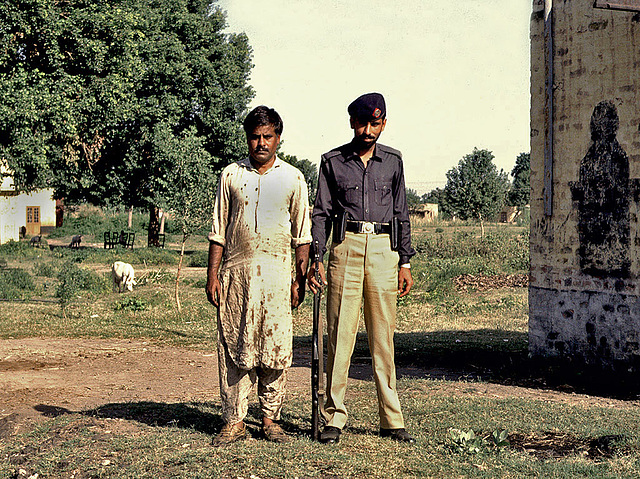 Arrested Arrested