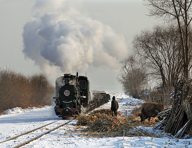 Through the village