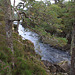 Glen Affric #10