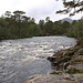 Glen Affric #8