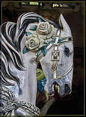 Carousel Horse in Grey: Headstudy
