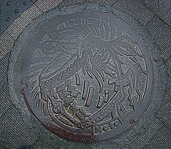 Noto Manhole