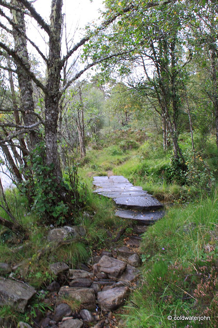 Glen Affric #7