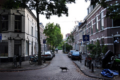 Schutterstraat (Militiaman Street) in Leiden